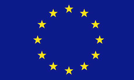 EU to observe Egypt’s presidential poll: PEC