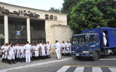 Explosives experts delay opening of Giza Zoo