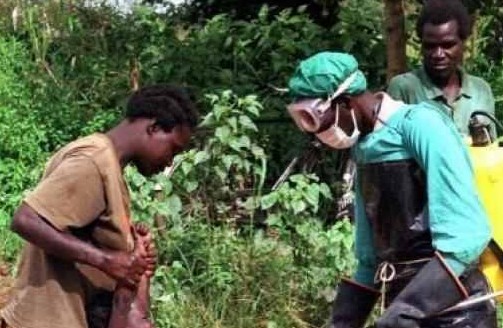 Health minister discuss Ebola precautions