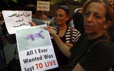 Dozens protest at Cairo’s Gezira Club over mass killing of cats