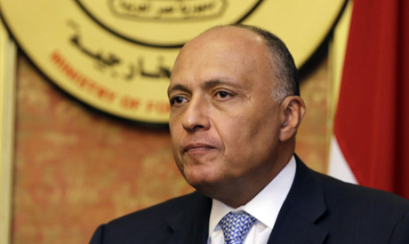 Brotherhood has ‘clear links’ to terrorism, says Egypt FM