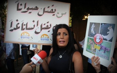 Egypt detains 3 for killing a dog