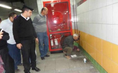 Cat rescued from ‘tomb’ after 5 years