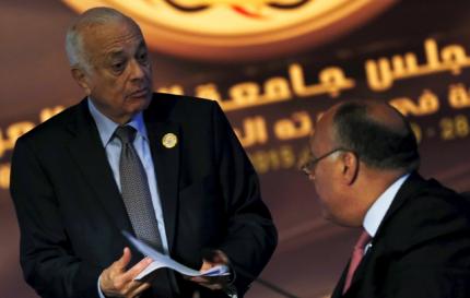 Joining proposed unified Arab force is “optional” – AL secretary general