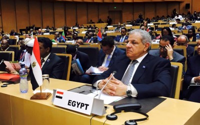 Q and A: What is the COMESA?