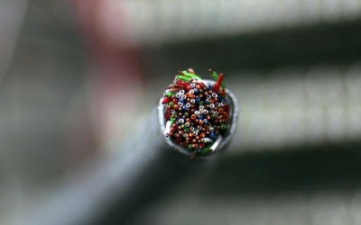 Telecom Egypt to spend more this year, mainly on fibre network