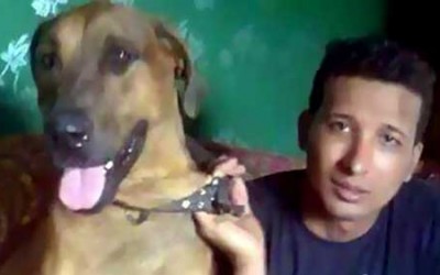 Jail sentences reduced in infamous dog killing case