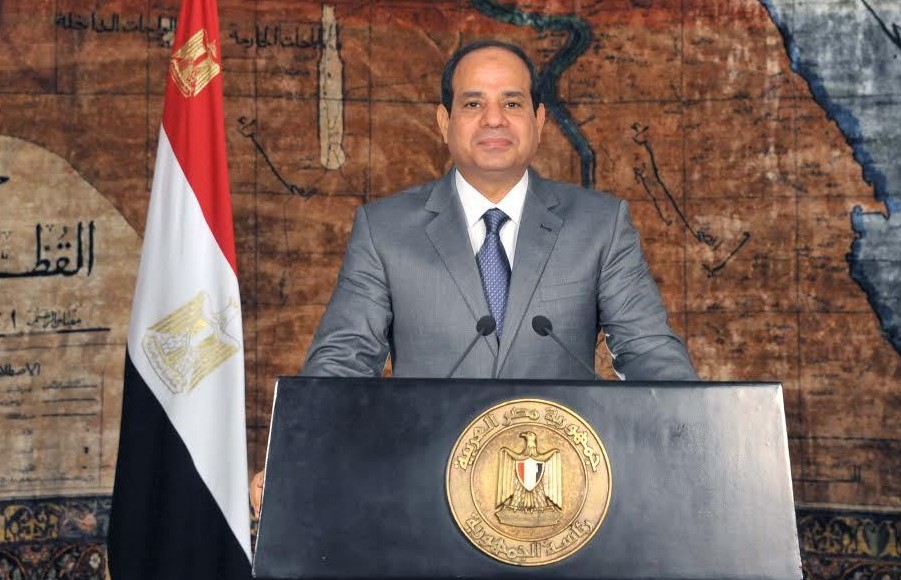 Sisi stresses importance of hard work to reach desired development rates