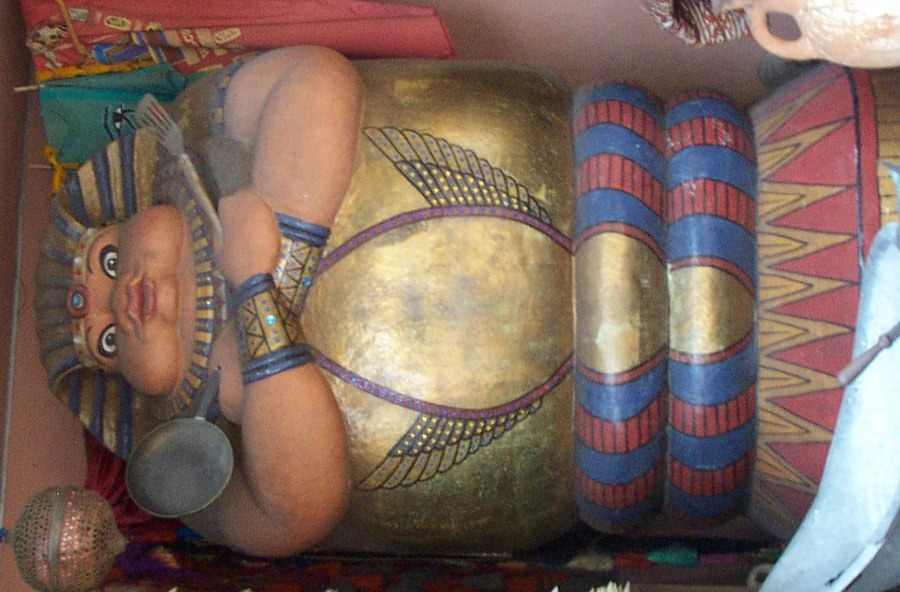 85 pct of Egyptian women are overweight: 2014 EDHS