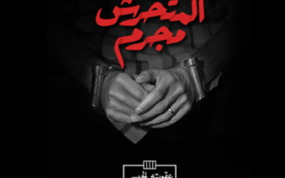HarassMap campaign highlights criminality of sexual harassment