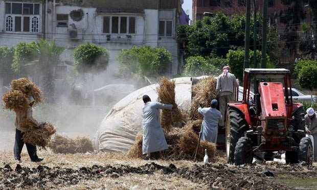 Egypt ‘suffering worst economic crisis since 1930s’