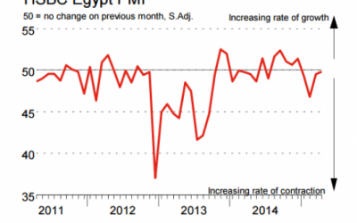 PMI: Egypt business activity expands in June for first time in five months