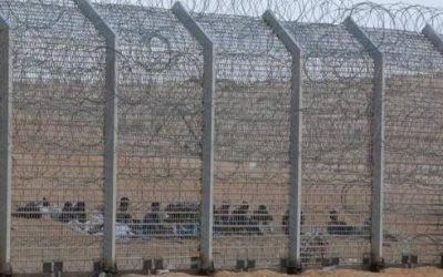 Migrants lured by sex into Egypt’s backstreet kidney trade, says report